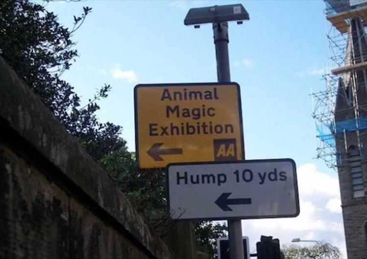 25 Zoo Signs That Are As Confusing As They Are Funny