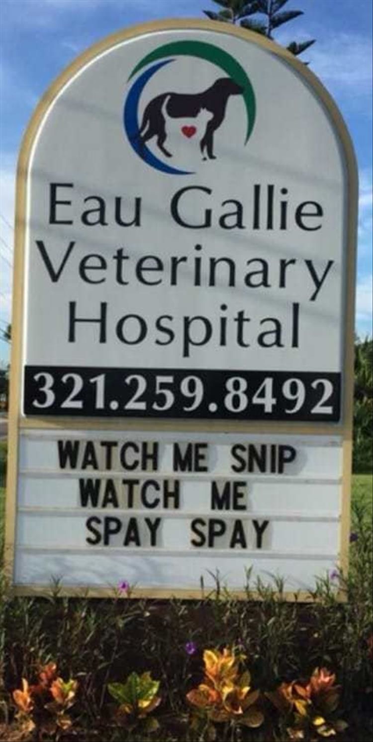 The Best Of Funny Vet Signs 18 Pics