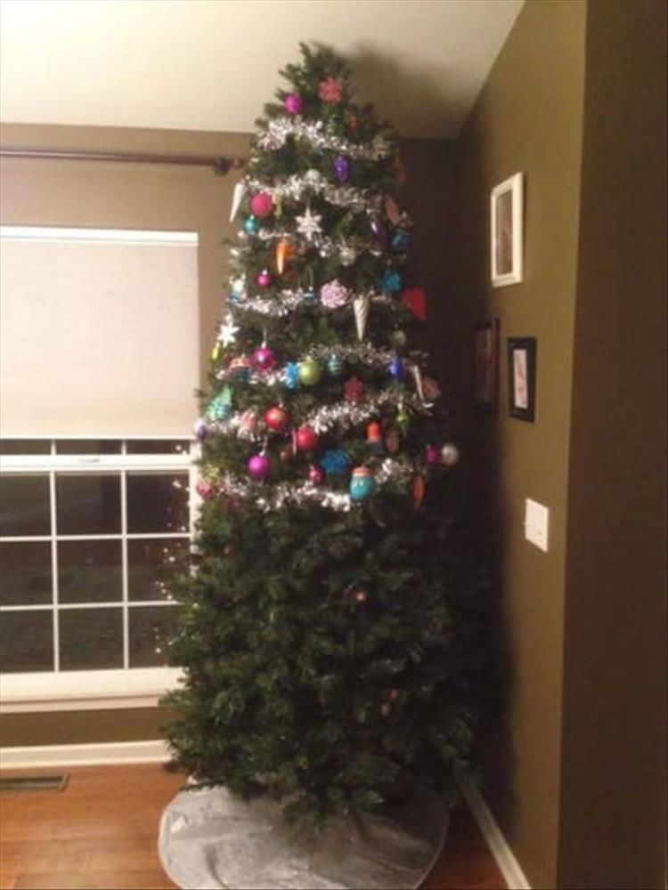 Funny Ways To “Pet Proof” Your Christmas Tree 21 Pics