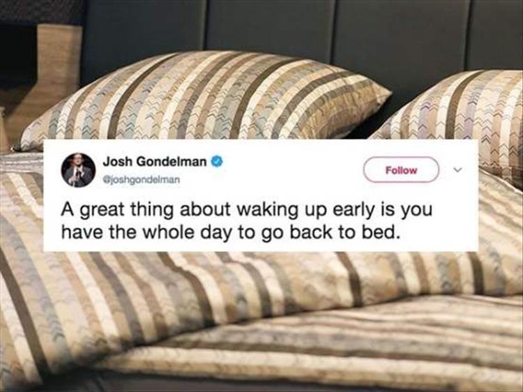 Morning Twitter Quotes We Can All Relate To 21 Pics
