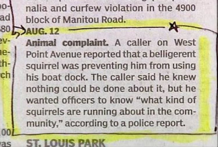 Police Stories In The Paper Can Be Hilarious 28 Pics