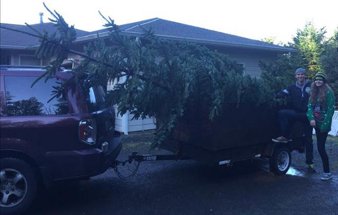 Real Life National Lampoon Christmas Trees Aren’t Going In The Yards, They’re Going In The Living Rooms! - 10 images