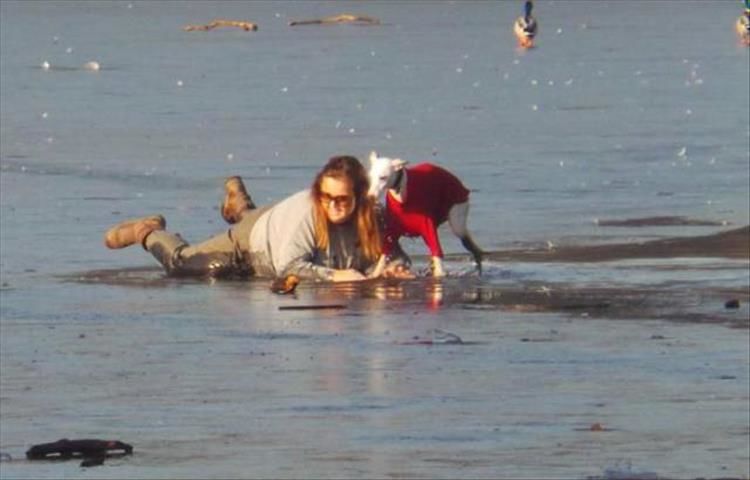 Heroic Woman Saves Dog Who Fell Through The Ice