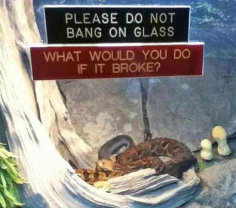 Zoo Signs Are Just As Funny As They Are Confusing 27 Pics