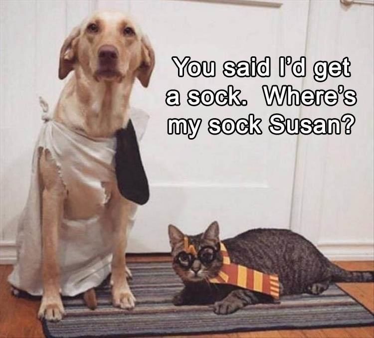 Funny Animal Pictures Of The Day - 14 Images