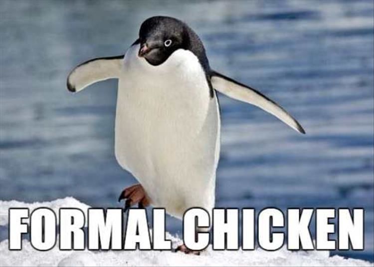 What Animals Should Really Be Called 17 Pics