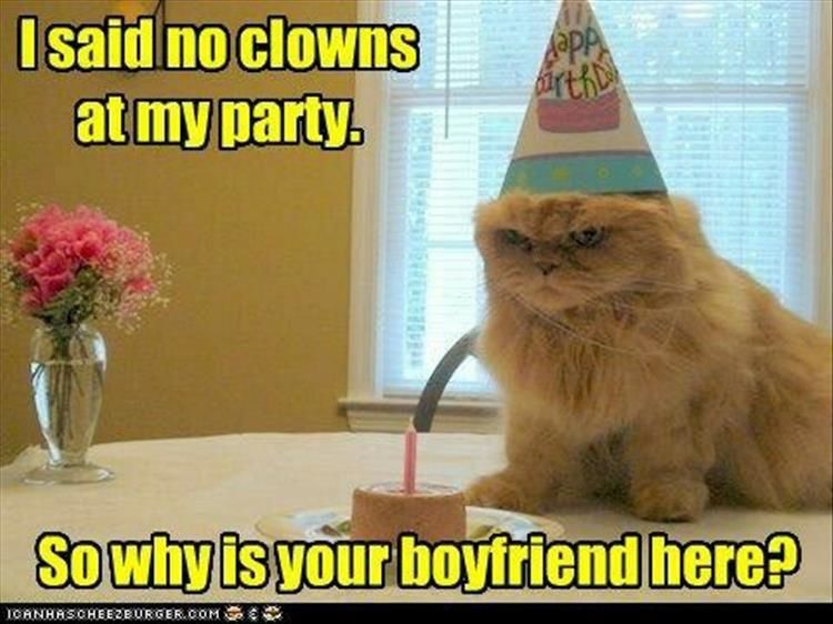 Funny Animal Pictures - 20 Images