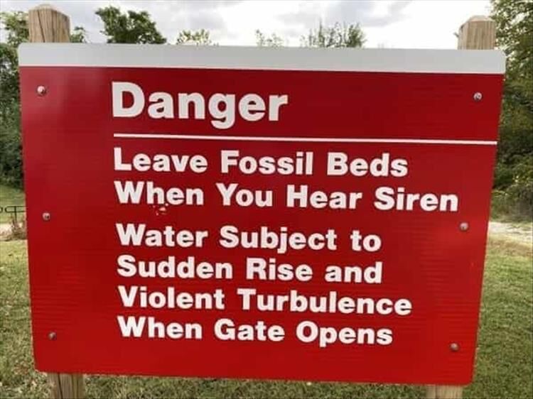 Don't Say These Signs Didn't Warn You