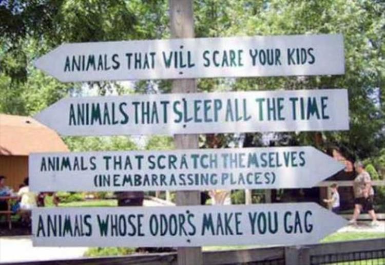 Some Zoo Signs Are Funnier Than Others