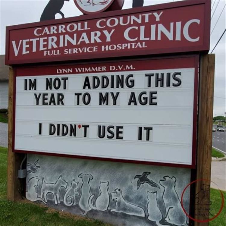 The Carroll County Veterinary Clinic Has The Funniest Signs 28 Pics