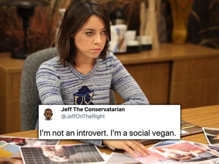 Introverts Are Like…