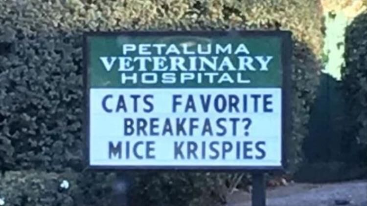 Funny Veterinarian Signs Are What We Need More Of 28 Pics