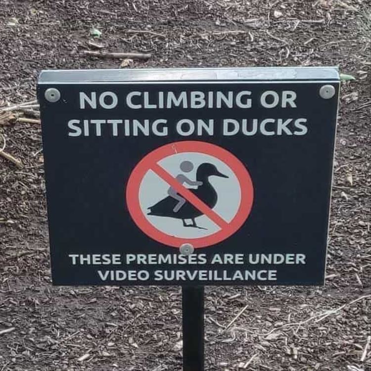 I Have Some Questions After Reading These Signs