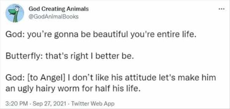 The God Created Animals Twitter Account Are The Only Funny Twitter Quotes I Want To Read Today
