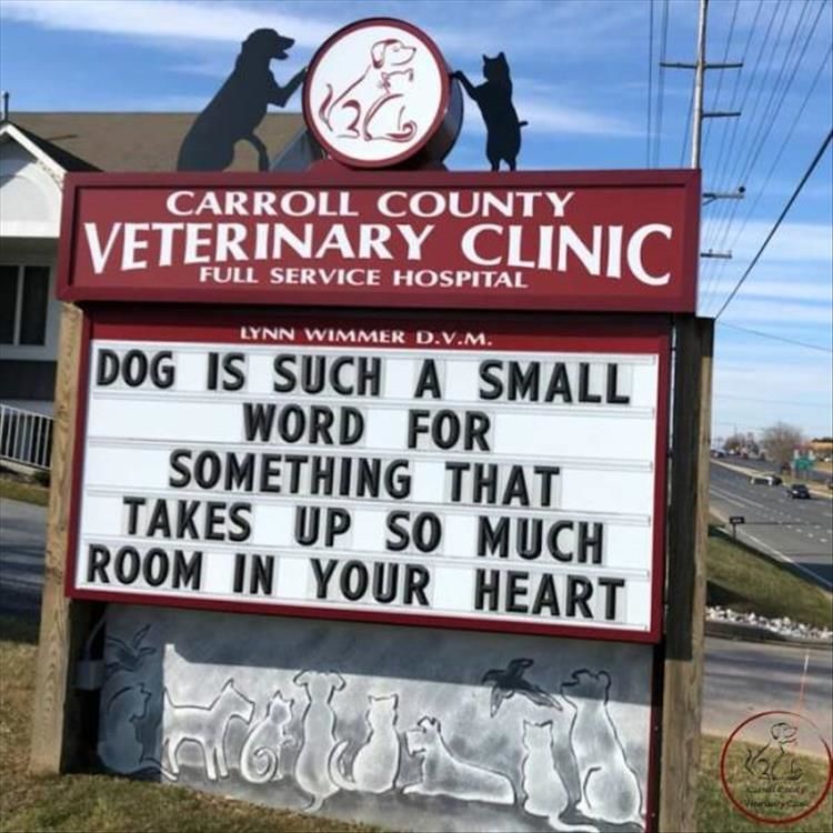 The Carroll County Veterinary Clinic Has The Funniest Signs 28 Pics