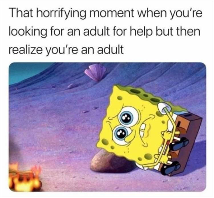 I Don't Want To Be An Adult Anymore