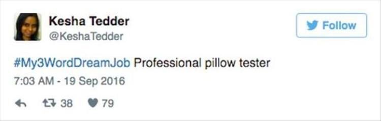 Dream Jobs In Just 3 Words 24 Pics