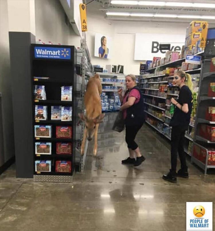 People Of Walmart Are Why Aliens Don't Visit Us