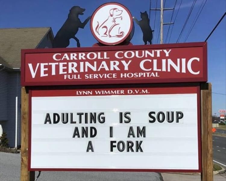 Carroll County Clinic Has Some Of The Vet Signs You'll Ever See