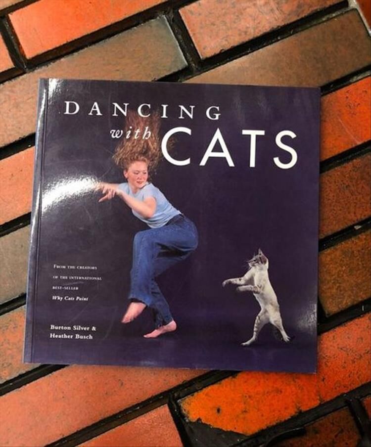 Well These Are Just About The Weirdest Books We've Ever Seen