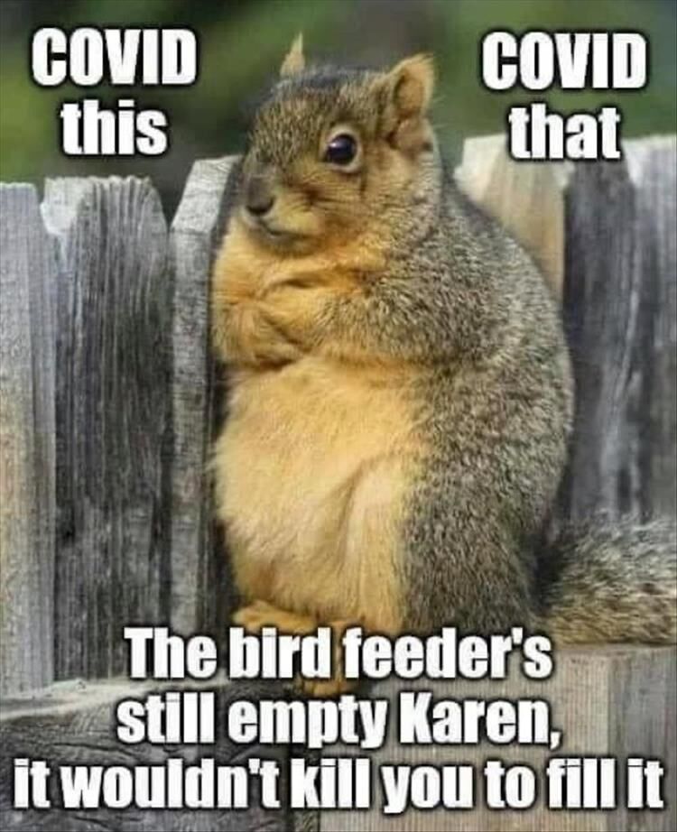 The Funniest Animal Memes Of The Week