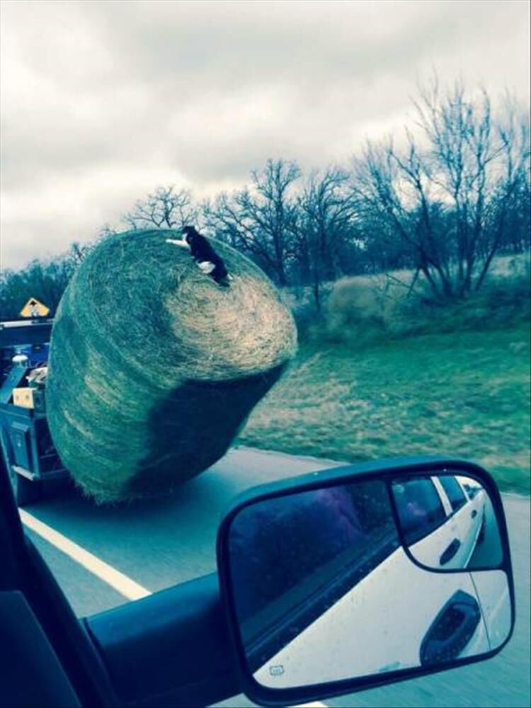 23 People Having A Worse Day Than You