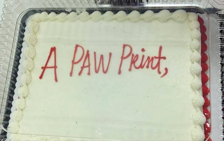 When The Cake Decorator Takes You Literally