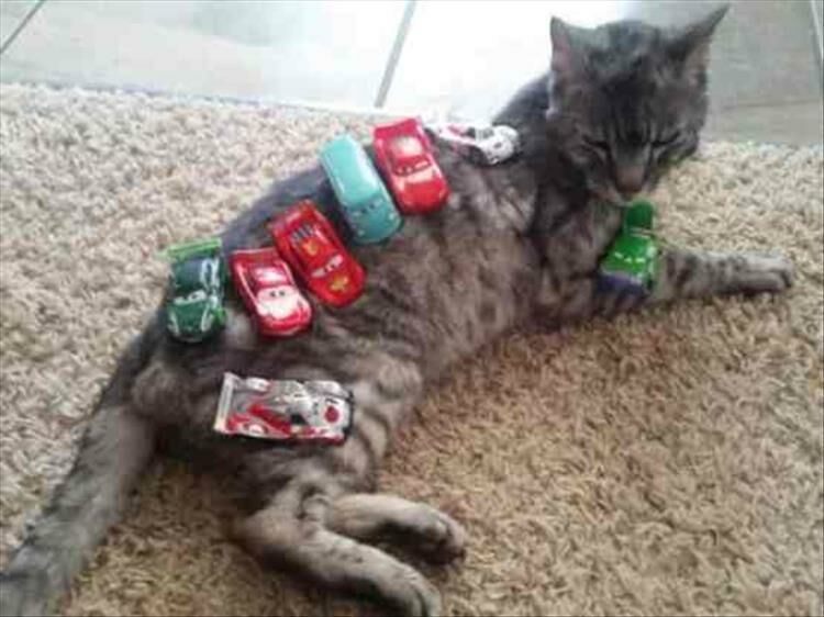 Cat Stacking Is My New Favorite Thing On The Internet 22 Pics