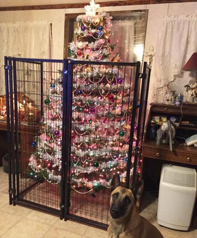 How To Pet Proof Your Christmas Tree 23 Pics
