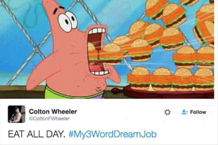 Dream Jobs In Just 3 Words 24 Pics