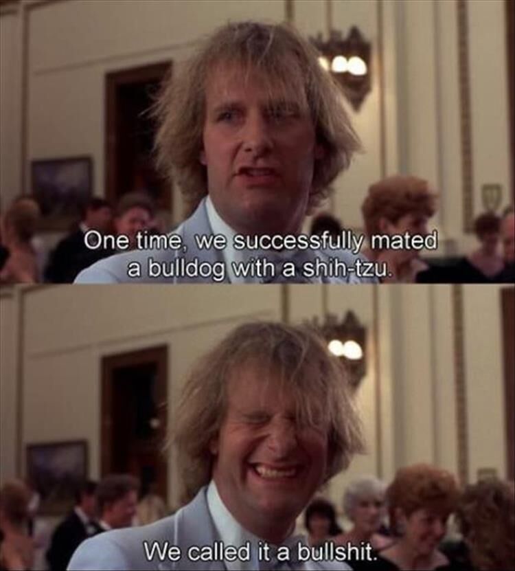 20 Funny Dumb And Dumber Quotes That I Still Use In My Everyday Life
