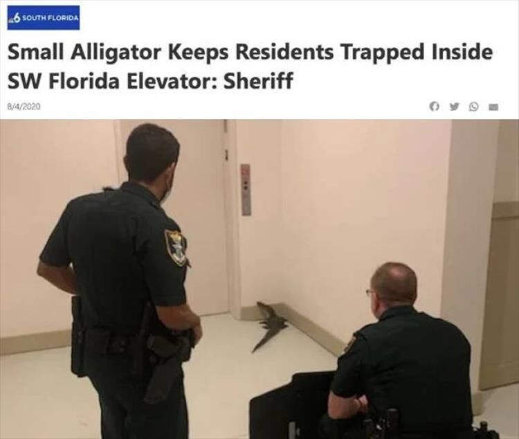 Pretty Sure The People Of Florida Are Why Aliens Don't Visit Us Anymore