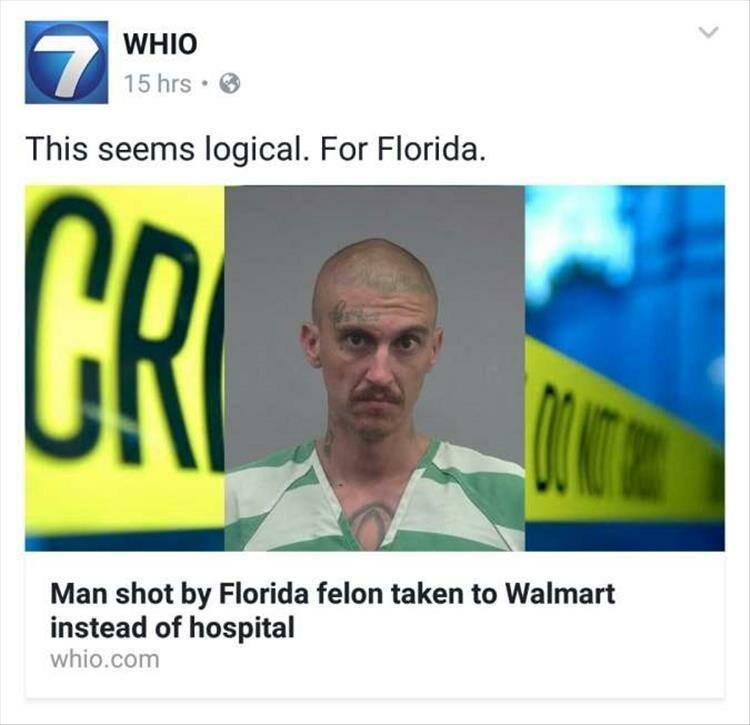 How Come The News Is Never Normal In Florida