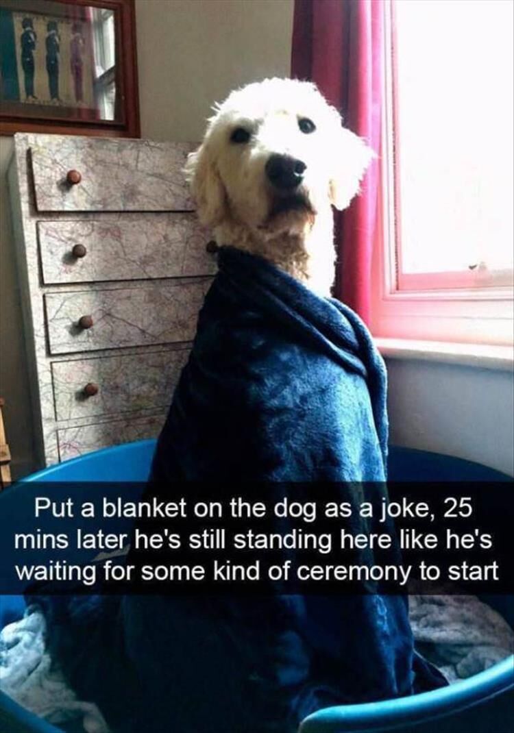 Funny Animal Pictures 23 Pics