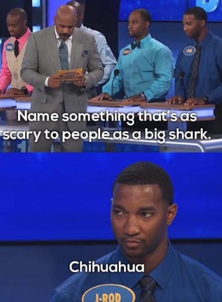 Top 20 Funny Game Show Answers