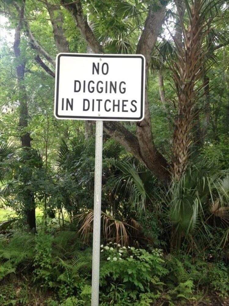 I Want To Hear The Story Behind These Signs
