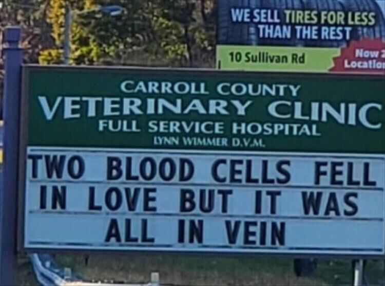 The Carroll County Vet Clinic Is The Only Clinic I Want To Hear From Right Now
