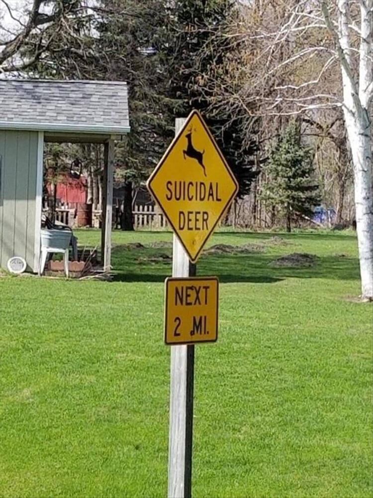 26 Funny Signs Of The Week