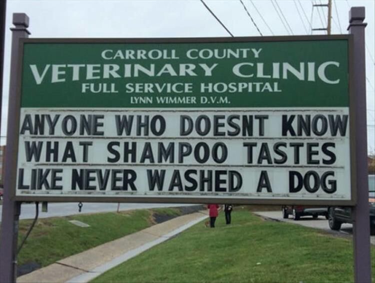 Carroll County Clinic Has Some Of The Funniest Vet Signs You'll Ever See