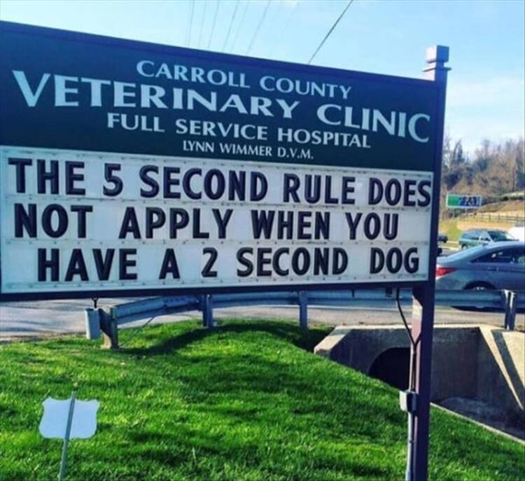 The Carroll County Vet Clinic Is The Only Clinic I Want To Hear From Right Now