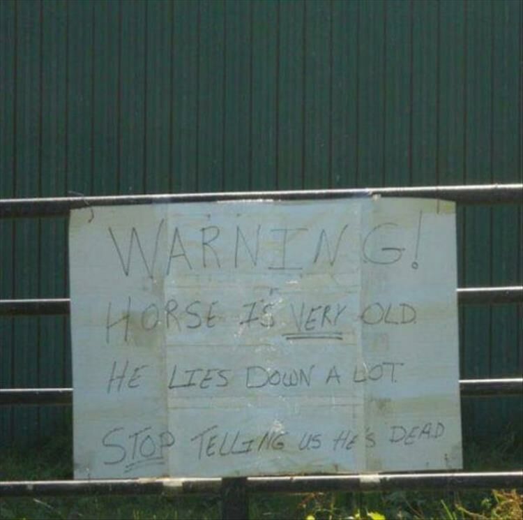 26 Signs That Prove The World Is A Very Weird Place