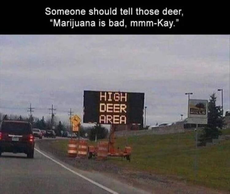 Funny Signs Are My Favorite Signs