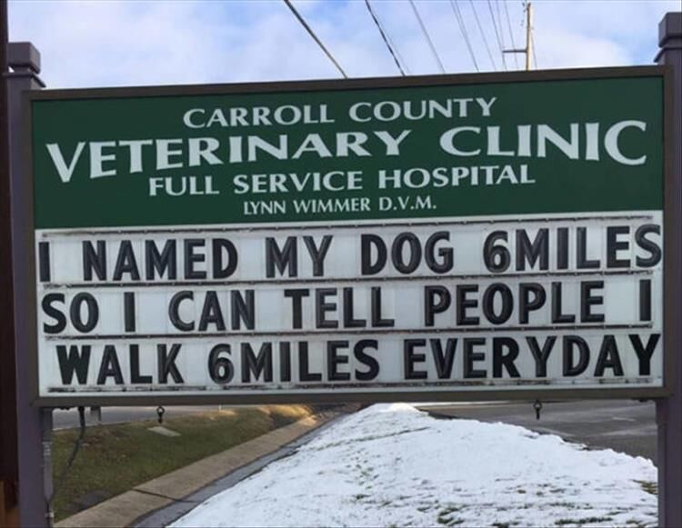Carroll County Clinic Has Some Of The Funniest Vet Signs You'll Ever See