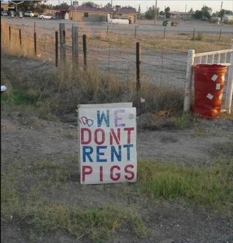 Funny Signs Of The Week