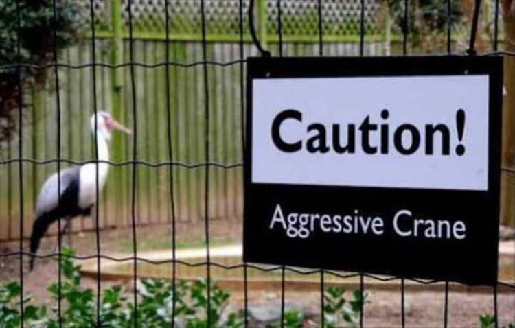 25 Zoo Signs That Make No Sense