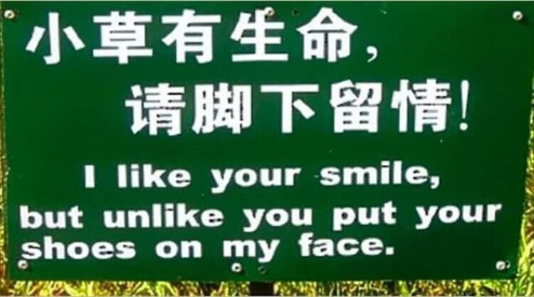 The Funny Side Of Lost In Translation 24 Pics