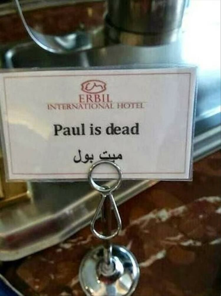 The Funny Side Of Lost In Translation 23 Pics