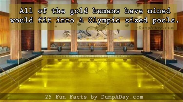 25 Fun Facts I Bet You Didn't Know