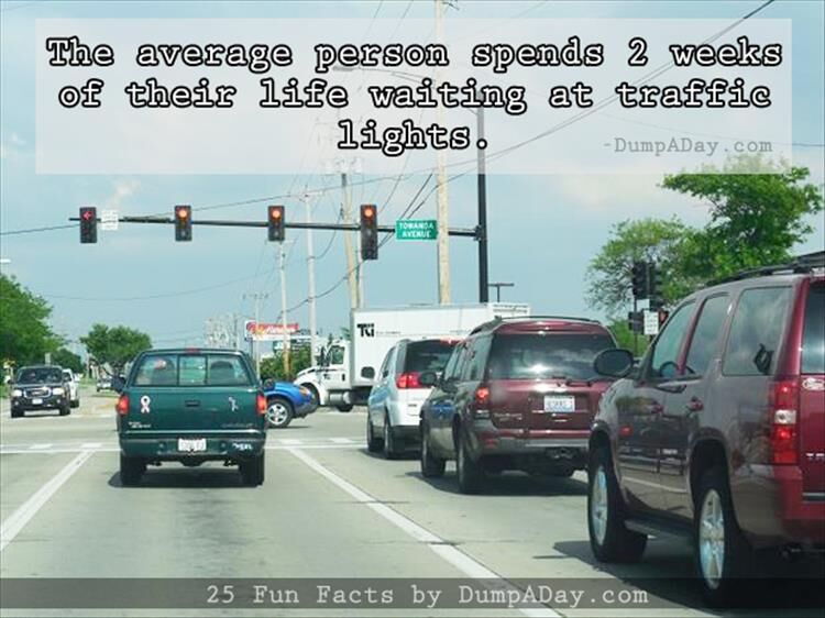 25 Fun Facts I Bet You Didn't Know
