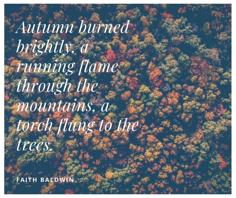 15 Lovely Quotes for Fall Lovers